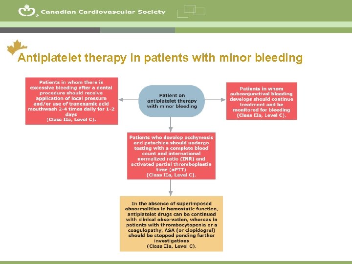 ® Antiplatelet therapy in patients with minor bleeding 14 