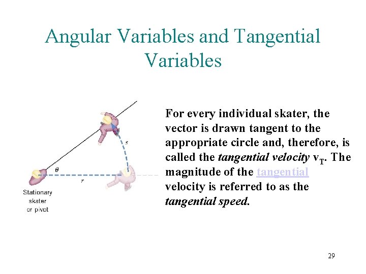 Angular Variables and Tangential Variables For every individual skater, the vector is drawn tangent
