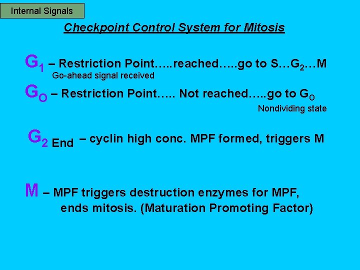 Internal Signals Checkpoint Control System for Mitosis G 1 – Restriction Point…. . reached….