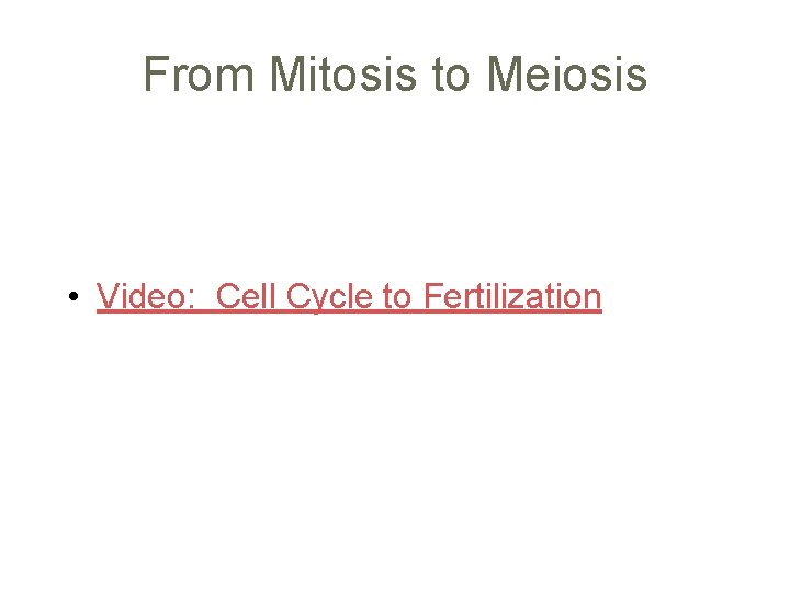 From Mitosis to Meiosis • Video: Cell Cycle to Fertilization 