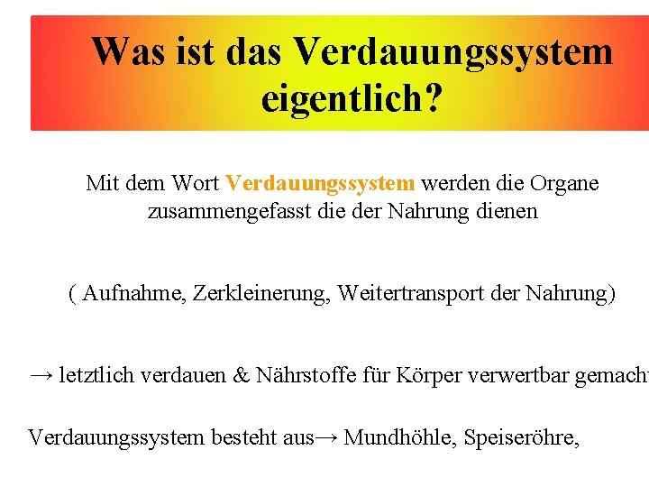 Was ist das Verdauungssystem eigentlich? Mit dem Wort Verdauungssystem werden die Organe zusammengefasst die