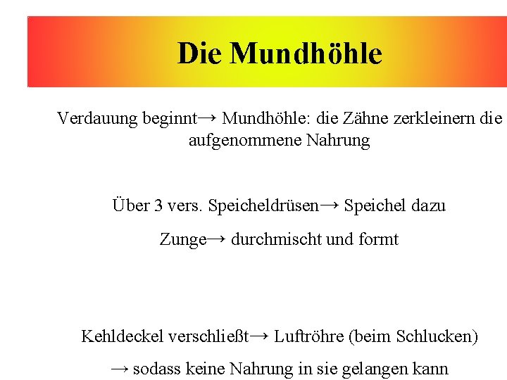 Die Mundhöhle Verdauung beginnt→ Mundhöhle: die Zähne zerkleinern die aufgenommene Nahrung Über 3 vers.