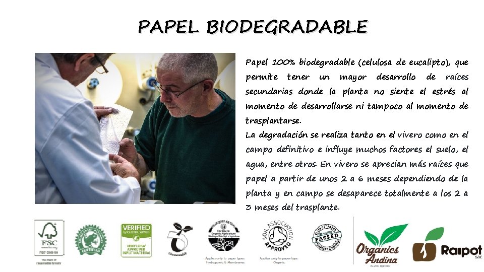 PAPEL BIODEGRADABLE Papel 100% biodegradable (celulosa de eucalipto), que permite tener un mayor desarrollo