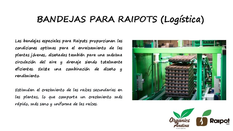 BANDEJAS PARA RAIPOTS (Logística) Las bandejas especiales para Raipots proporcionan las condiciones optimas para