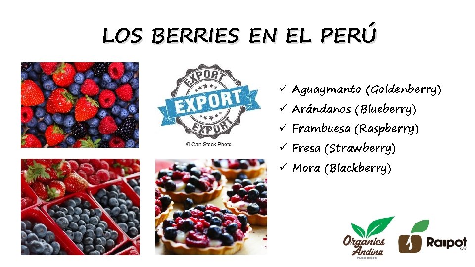 LOS BERRIES EN EL PERÚ ü Aguaymanto (Goldenberry) ü Arándanos (Blueberry) ü Frambuesa (Raspberry)