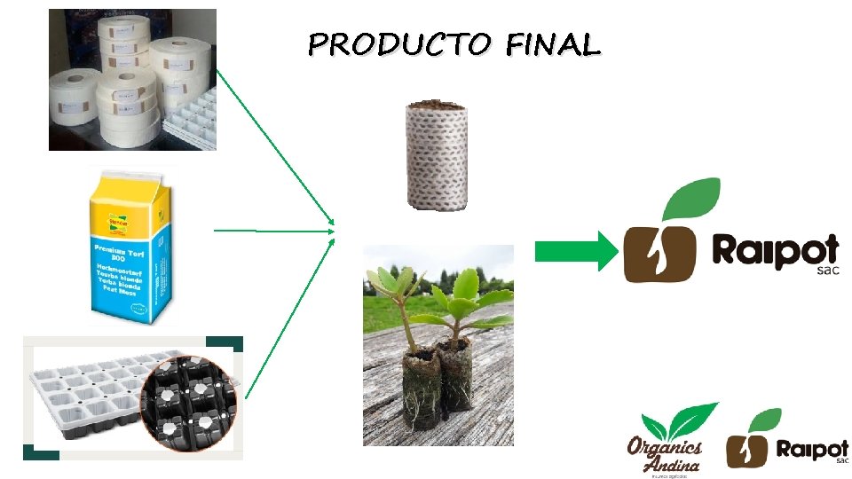 PRODUCTO FINAL 