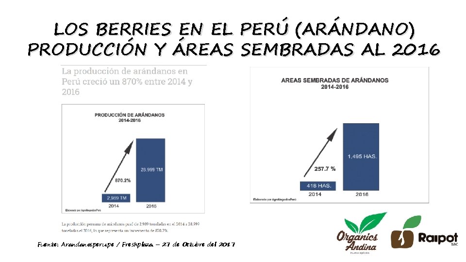 LOS BERRIES EN EL PERÚ (ARÁNDANO) PRODUCCIÓN Y ÁREAS SEMBRADAS AL 2016 Fuente: Arandanosperu.