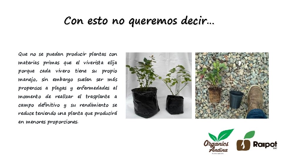 Con esto no queremos decir… Que no se puedan producir plantas con materias primas