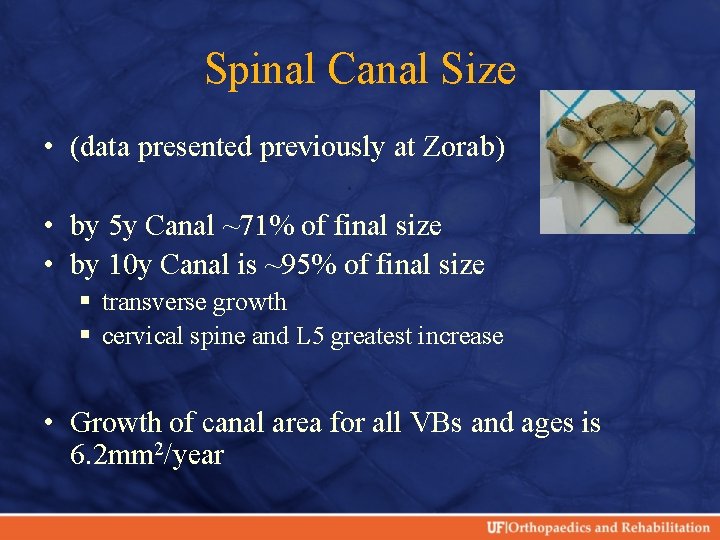 Spinal Canal Size • (data presented previously at Zorab) • by 5 y Canal