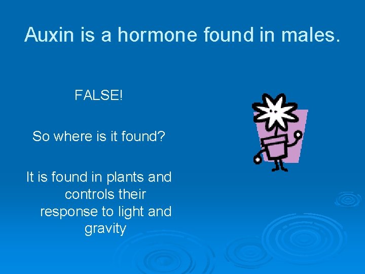 Auxin is a hormone found in males. FALSE! So where is it found? It