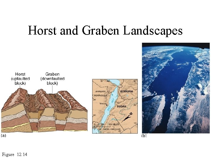 Horst and Graben Landscapes Figure 12. 14 