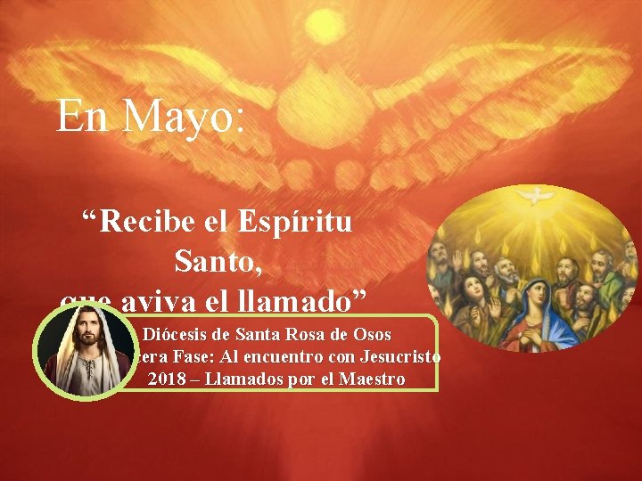 En Mayo: “Recibe el Espíritu Santo, que aviva el llamado” Diócesis de Santa Rosa