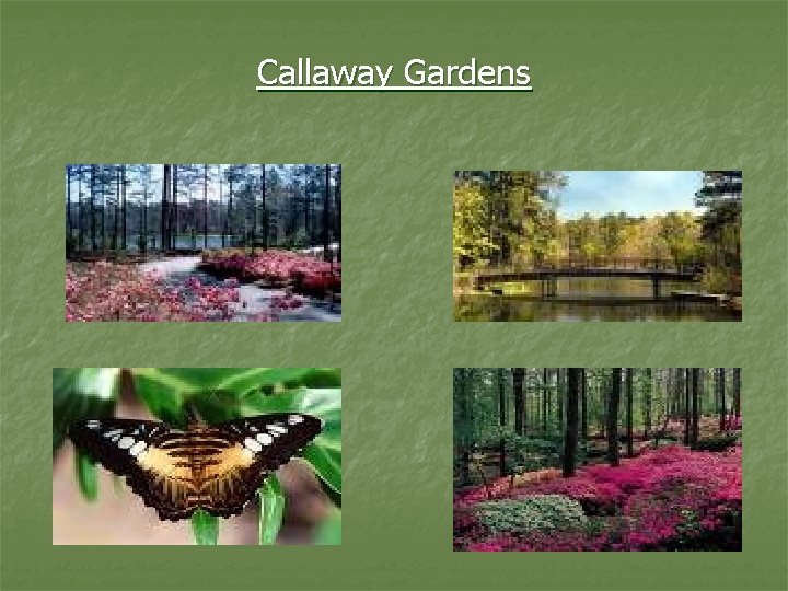 Callaway Gardens 