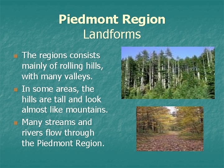 Piedmont Region Landforms n n n The regions consists mainly of rolling hills, with