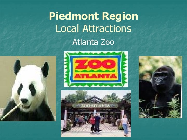 Piedmont Region Local Attractions Atlanta Zoo 