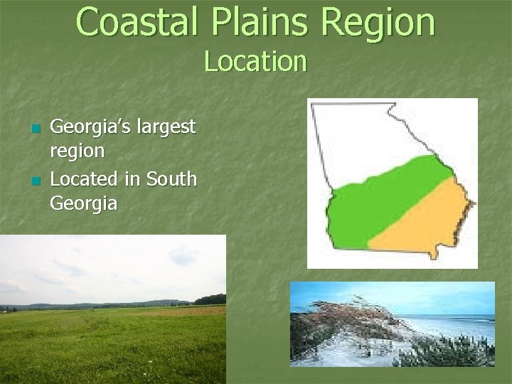Coastal Plains Region Location n n Georgia’s largest region Located in South Georgia 