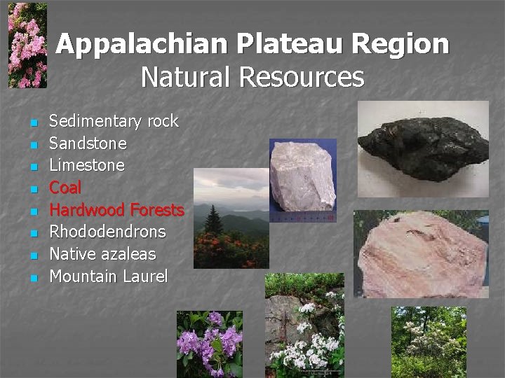 Appalachian Plateau Region Natural Resources n n n n Sedimentary rock Sandstone Limestone Coal