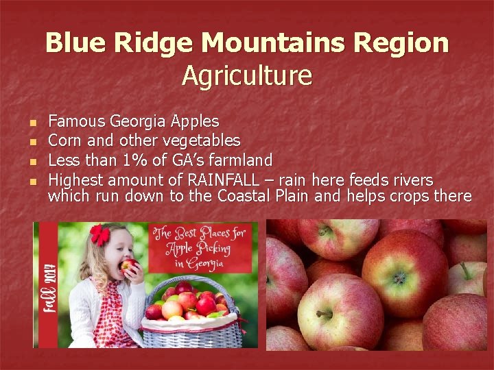 Blue Ridge Mountains Region Agriculture n n Famous Georgia Apples Corn and other vegetables