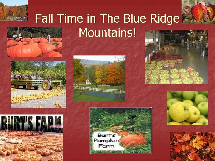 Fall Time in The Blue Ridge Mountains! 