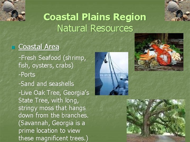Coastal Plains Region Natural Resources n Coastal Area -Fresh Seafood (shrimp, fish, oysters, crabs)
