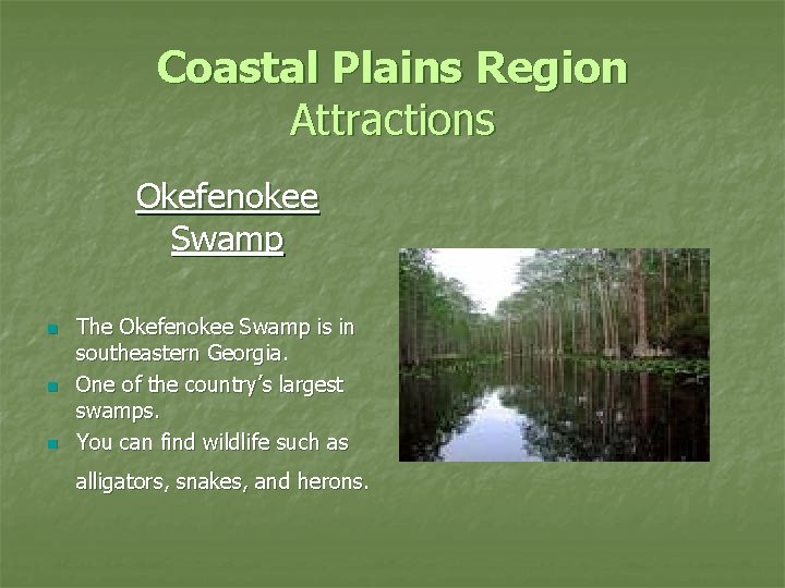 Coastal Plains Region Attractions Okefenokee Swamp n n n The Okefenokee Swamp is in