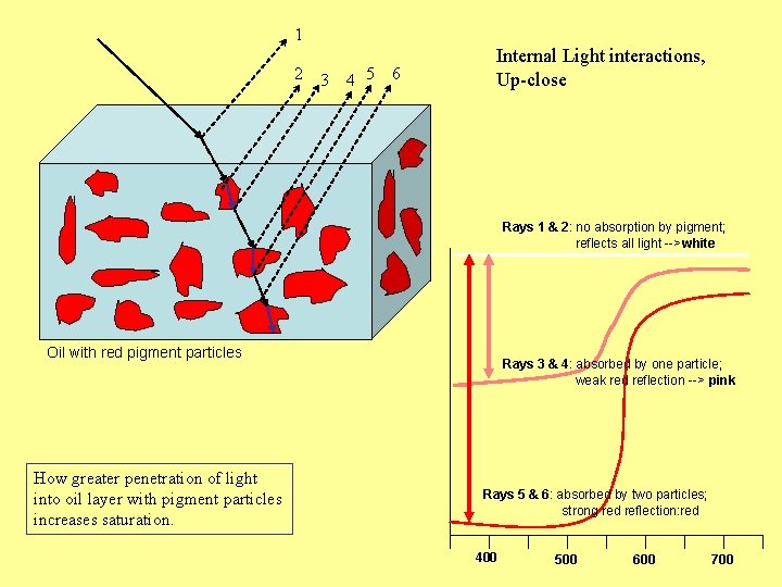 1 2 3 4 5 6 Internal Light interactions, Up-close Rays 1 & 2: