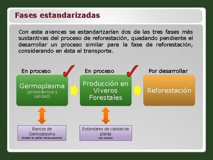 Fases estandarizadas Con este avances se estandarizarían dos de las tres fases más sustantivas