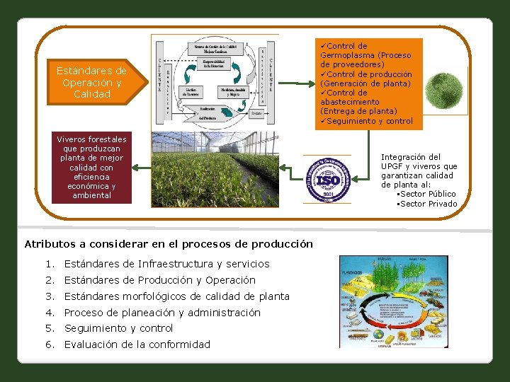 Estándares de Operación y Calidad Viveros forestales que produzcan planta de mejor calidad con