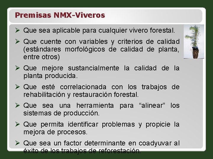 Premisas NMX-Viveros Ø Que sea aplicable para cualquier vivero forestal. Ø Que cuente con