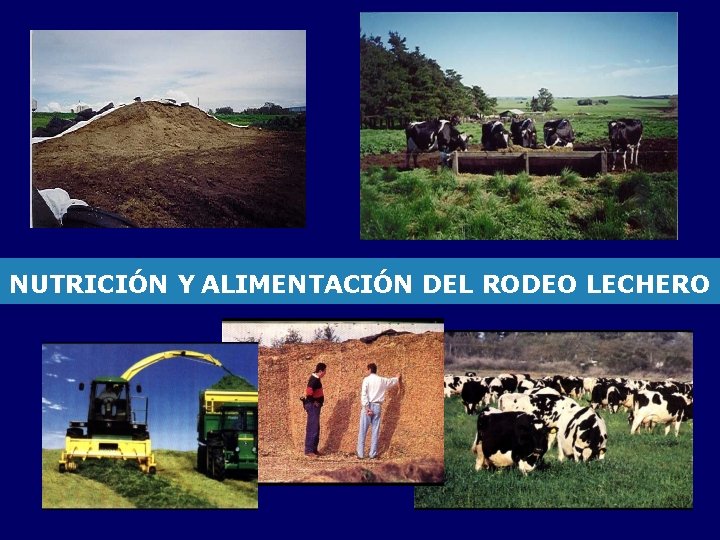 NUTRICIÓN Y ALIMENTACIÓN DEL RODEO LECHERO 