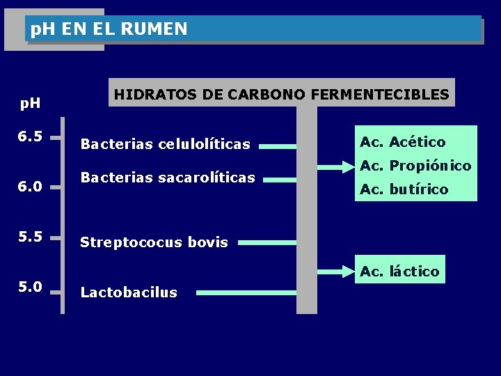 p. H EN EL RUMEN p. H 6. 5 6. 0 5. 5 5.