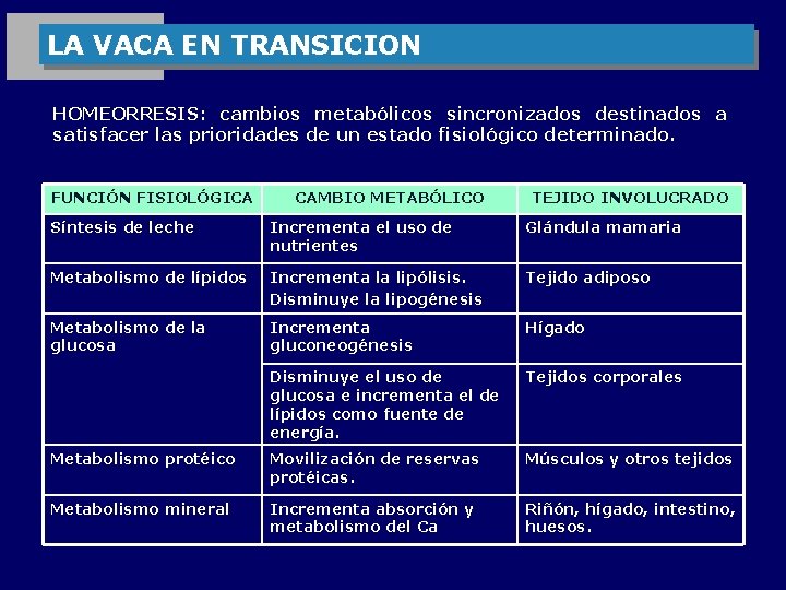 LA VACA EN TRANSICION HOMEORRESIS: cambios metabólicos sincronizados destinados a satisfacer las prioridades de