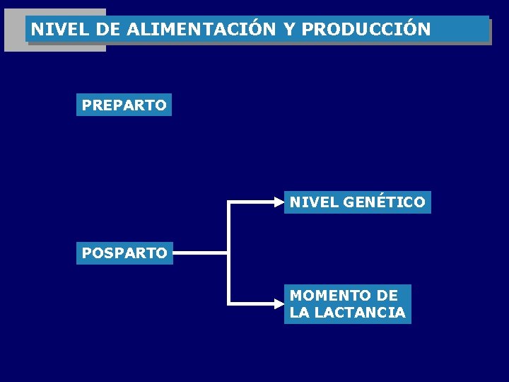 NIVEL DE ALIMENTACIÓN Y PRODUCCIÓN PREPARTO NIVEL GENÉTICO POSPARTO MOMENTO DE LA LACTANCIA 