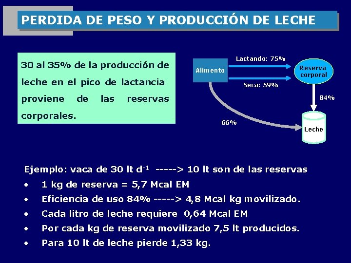 PERDIDA DE PESO Y PRODUCCIÓN DE LECHE 30 al 35% de la producción de