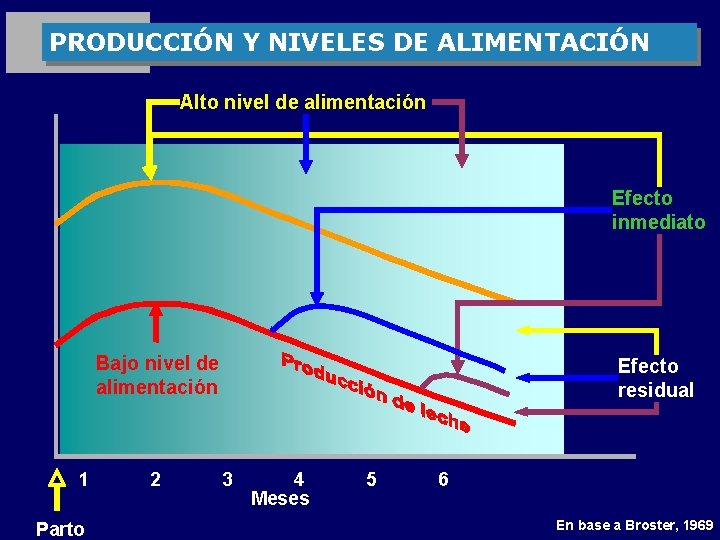 PRODUCCIÓN Y NIVELES DE ALIMENTACIÓN Alto nivel de alimentación Efecto inmediato Bajo nivel de