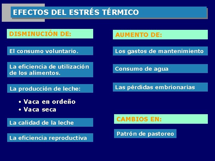 EFECTOS DEL ESTRÉS TÉRMICO DISMINUCIÓN DE: AUMENTO DE: El consumo voluntario. Los gastos de