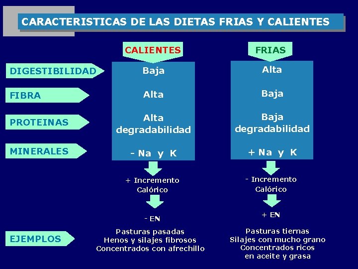 CARACTERISTICAS DE LAS DIETAS FRIAS Y CALIENTES FRIAS DIGESTIBILIDAD Baja Alta FIBRA Alta Baja