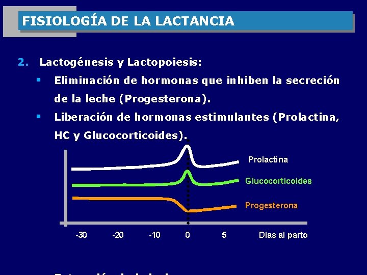 FISIOLOGÍA DE LA LACTANCIA 2. Lactogénesis y Lactopoiesis: § Eliminación de hormonas que inhiben