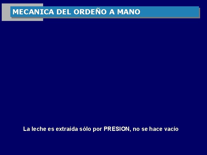 MECANICA DEL ORDEÑO A MANO La leche es extraída sólo por PRESION, no se