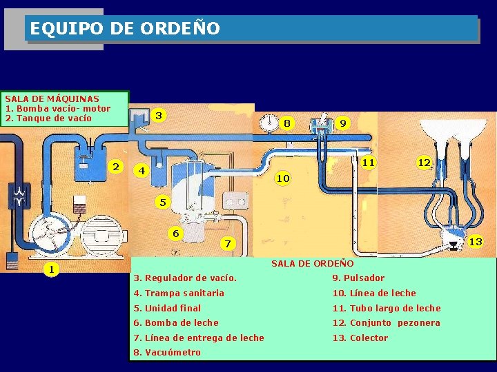 EQUIPO DE ORDEÑO SALA DE MÁQUINAS 1. Bomba vacío- motor 2. Tanque de vacío