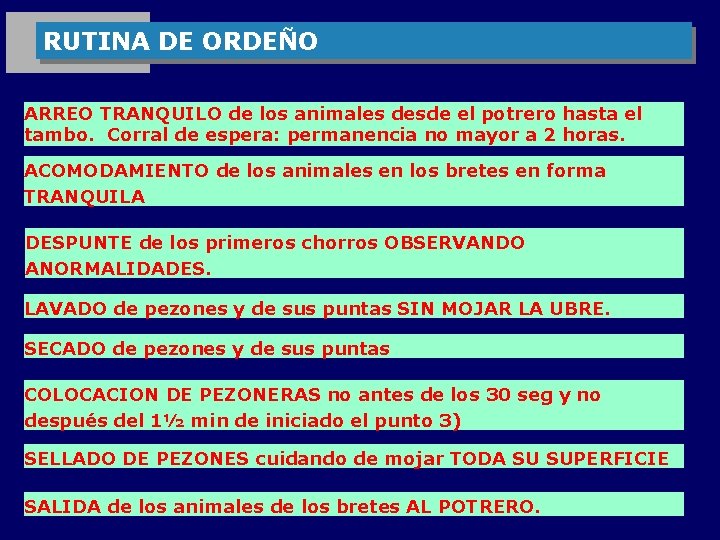 RUTINA DE ORDEÑO ARREO TRANQUILO de los animales desde el potrero hasta el tambo.
