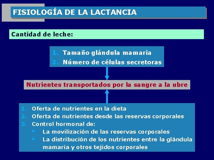 FISIOLOGÍA DE LA LACTANCIA Cantidad de leche: 1. Tamaño glándula mamaria 2. Número de