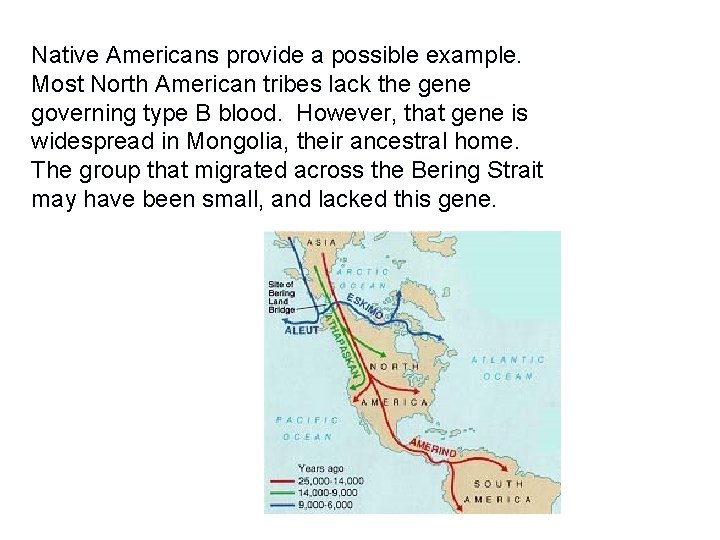Native Americans provide a possible example. Most North American tribes lack the gene governing