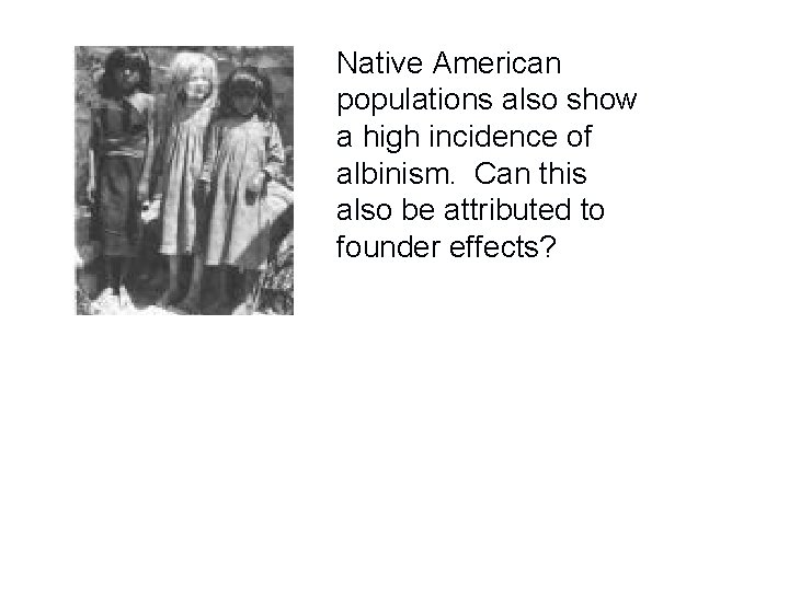 Native American populations also show a high incidence of albinism. Can this also be