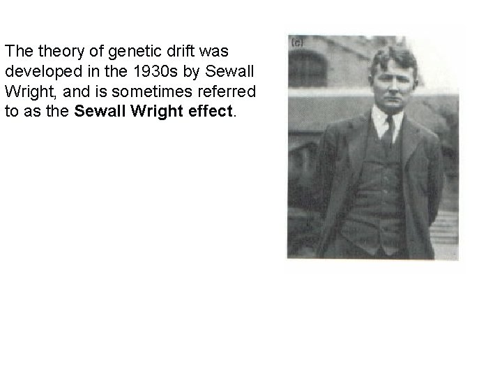 The theory of genetic drift was developed in the 1930 s by Sewall Wright,