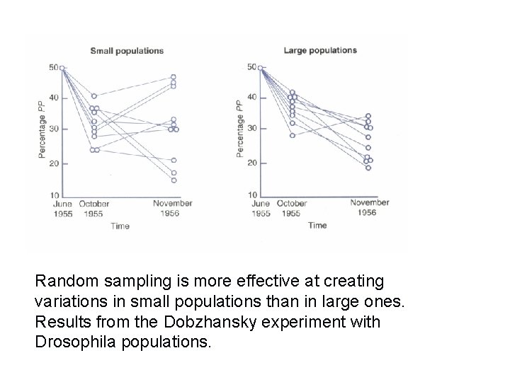 Random sampling is more effective at creating variations in small populations than in large