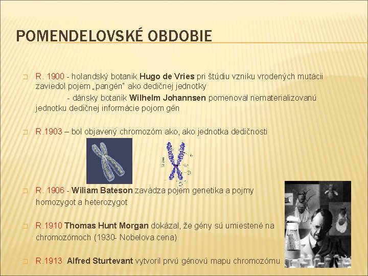 POMENDELOVSKÉ OBDOBIE R. 1900 - holandský botanik Hugo de Vries pri štúdiu vzniku vrodených