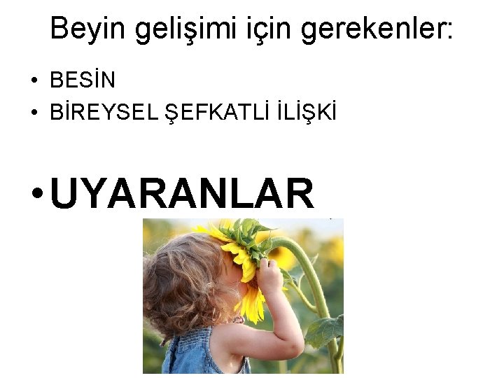 Beyin gelişimi için gerekenler: • BESİN • BİREYSEL ŞEFKATLİ İLİŞKİ • UYARANLAR 