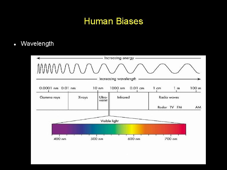 Human Biases Wavelength 