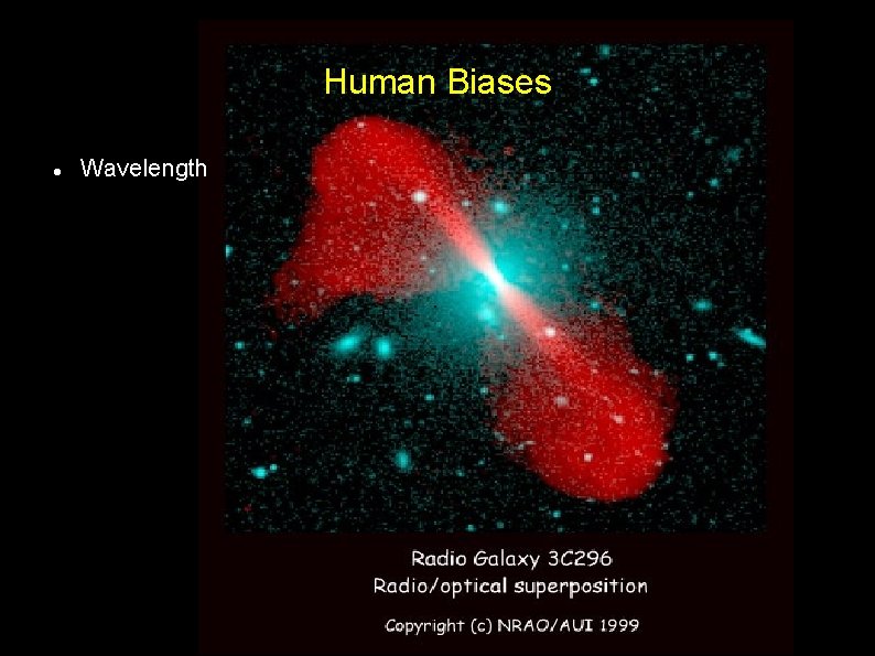 Human Biases Wavelength 